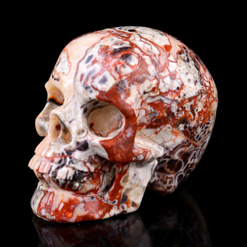 Natural Money Eye Agate Skull supplier