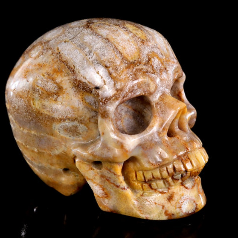 Wholesale Coral Jade Skull